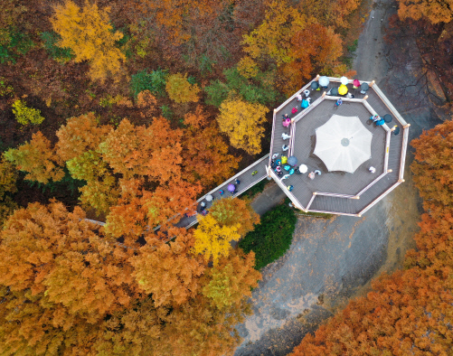 대전 장태산자연휴양림 스카이타워 일대의 가을. 대전시 서구청(김정훈) 제공